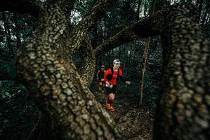 BIB: 
                            <button type="button" onclick="openModal(25681875)" class="btn btn-primary btn-sm float-right btn-popup" data-toggle="modal" data-target=".modal-high-quality">
                        <i class="fas fa-shopping-cart"></i> Add to Cart
                    </button>
                                            <button type="button" onclick="isThisMe(25681875, true)" class="btn btn-success btn-sm float-right btn-popup btn-isme hidden" data-toggle="tooltip" data-placement="bottom" title="นี่คือรูปของคุณใช่ไหม คลิกที่นี่เพื่อเอาเข้าอัลบั้ม">
                        <i class="fas fa-plus"></i> Add to album
                    </button>
                    <button type="button" onclick="isThisMe(25681875, false)" class="btn btn-warning btn-sm float-right btn-popup btn-isnotme hidden">
                        <i class="fas fa-ban"></i> Remove from album
                    </button>